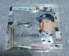 千葉ロッテマリーンズ ＃66 澤田圭佑選手サインアクリルスタンド