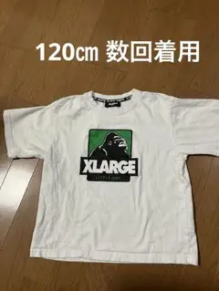 120センチエクストララージキッズtシャツ