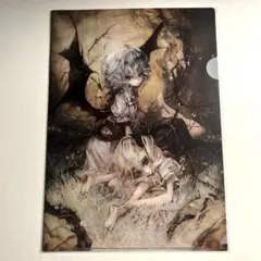 【新品】東方projectクリアファイル晩杯あきら