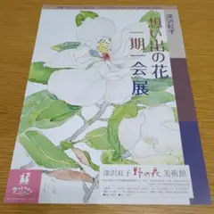『野の花』 深沢紅子 作　無綴多色刷複製水彩画12枚組　限定350部1981年 野の花ばな | ｜正光画廊