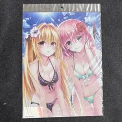 ToLOVEる ヤミ & モモ （水着） A3 クリアポスター　原画展