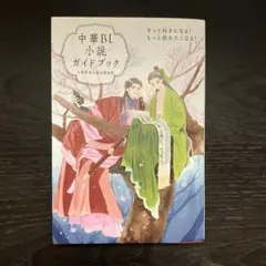 中華BL小説ガイドブック きっと好きになる! もっと読みたくなる!