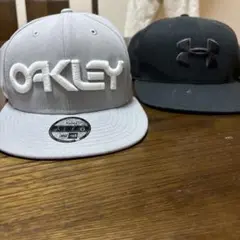 Item thumbnail for item f08544eb-f90c-4da1-910c-d8ab52e75b1e