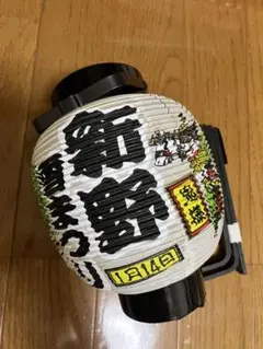 提灯 新野雪まつり 新野盆おどり