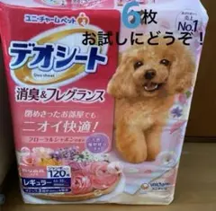 Item thumbnail for item b62f1bad-636a-4576-b5c6-2091e0c912db