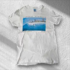 【一点物】サーフTシャツ SURFERS PARADISE 風景画 【A94】