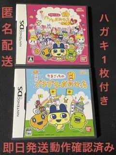 たまごっちのプチプチおみせっち ごひーきに　２本セット