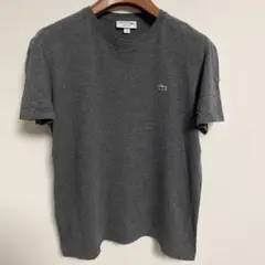 Lacoste ラコステ グレー Tシャツ Mサイズ