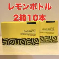 ナノスキンニードル/水光ジェット／高圧ジェット　 　レモンボトル5本付　ナナ様 m10889178309_1.jpg?1738551268