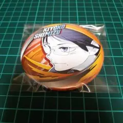ハイキュー!!　ファンパーク　コレクション缶バッジ　清水潔子