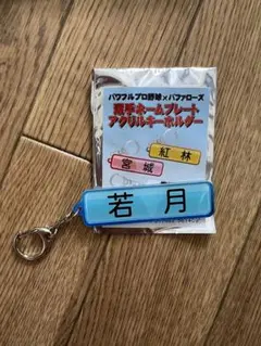 オリックスバファローズ　若月健矢パワプロコラボアクリルキーホルダー
