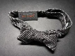 Item thumbnail for item 8ca2fa27-ddfd-4277-8a80-c80e55d67148