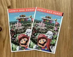 USJ フリーデイトパス チケット2枚セット