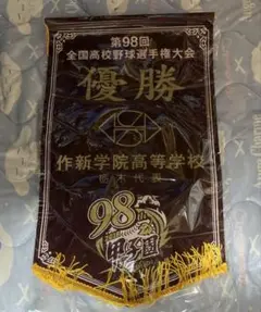 作新学院 今井達也 優勝旗 第98回全国高校野球選手権大会 ペナント 甲子園