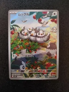 ポケモンカード ムックル AR