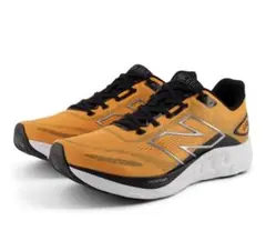 Item thumbnail for item b4eec353-4356-42f0-a41f-b41c8303a906