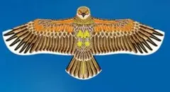 Item thumbnail for item 44e2f27a-7b8c-445c-9d44-d493befcc42f