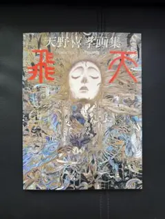 2025年最新】天野喜孝 飛天の人気アイテム - メルカリ