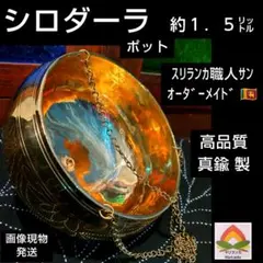 2025年最新】シロダーラポットの人気アイテム - メルカリ