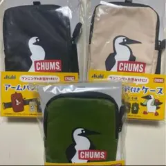 Item thumbnail for item 693d8040-6edb-43a9-9c0b-2f960941495d