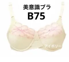 Item thumbnail for item 7cfd74b8-8e3c-4f3a-ad8e-e6fad43d5b9d
