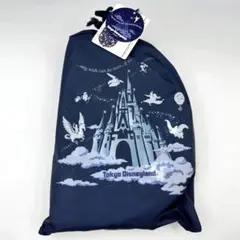 リーチフォーザスターズ　ポータブルクッション　ファンダフルディズニー会員