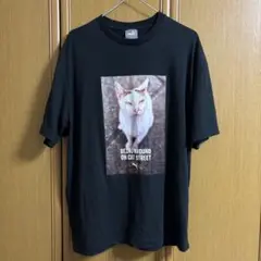 PUMA プーマ メンズ キャット フォト Tシャツ グラフィック 猫 古着
