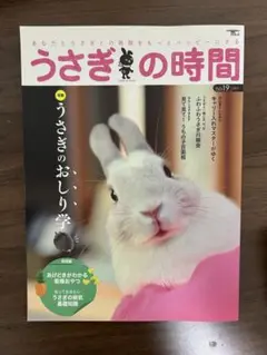 うさぎの時間 19 あなたとうさぎとの時間をもっとハッピーにする
