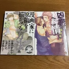 漫画家に原稿を描かせる方法／凶悪で純情／BLコミック2冊セット
