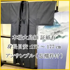 Item thumbnail for item 84703d05-11e8-42be-83e9-d2692fd409fa