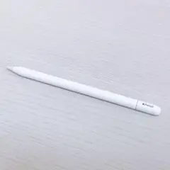Apple Pencil USB-C (匿名配送は9/2まで)