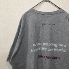 ギルダン　tシャツ バックプリント　アメリカ古着　 XL 1655