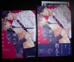 永条エイ　溺れるアンチロマンス　アニメイト特典リーフレット、ペーパー付