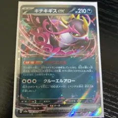 キチキギス ex & ラウドボーン ex 2枚セット