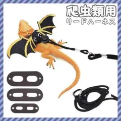 お散歩リードハーネス 翼 爬虫類 フトアゴトカゲ ヤモリ イグアナ カメレオン