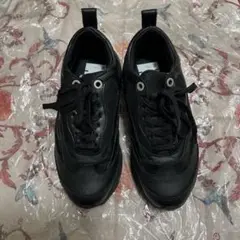 Item thumbnail for item 6c6bcc5f-a610-43d0-aa27-784b1e5a952a