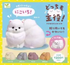 ❤️最終価格 ラスト1点❤️ どっちも主役！ ポメラニアン ちょこ クレーンゲーム
