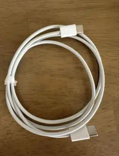 Apple純正USB-C 充電ケーブル 1m