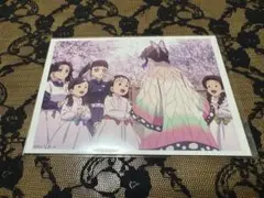 鬼滅の刃 胡蝶しのぶ 追憶 ブロマイド
