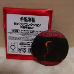 呪術廻戦 缶バッジコレクション 渋谷事変OP