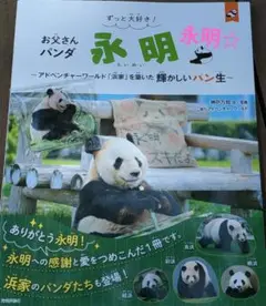 新刊！　お父さんパンダ永明　書店限定アクリルスタンド付き！アドベンチャーワールド