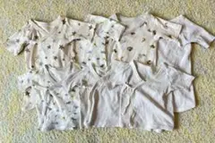 Item thumbnail for item 158bd043-1c39-45c7-93c7-a7c5ad7b7100