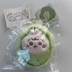 Item thumbnail for item 4a56d343-b0f1-4a30-83b0-22af7452884a