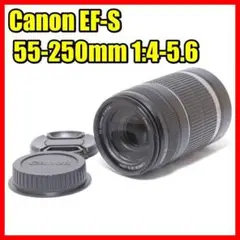 Item thumbnail for item 128ad7fe-54db-4ea9-a541-88b23740a031