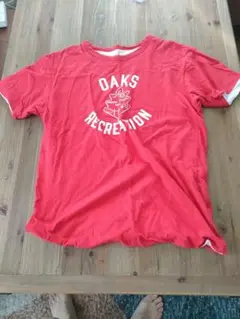 メイヨ　スプルース　ダブルフェイスTシャツ　M