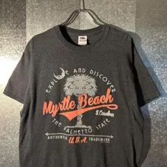 USA古着Tシャツ Mサイズ FRUIT OF THE LOOM グレー
