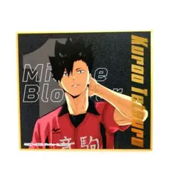 ハイキュー!!ビジュアル色紙コレクション8　黒尾鉄朗
