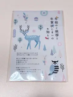 ⭐️年賀状じまい（年内お知らせ） ハガキ 私製10枚入り