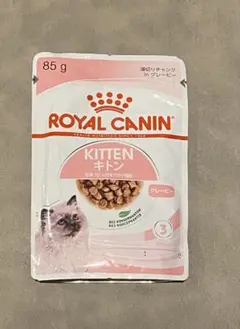 Item thumbnail for item 972c3d4a-be5d-4d4d-9337-db1ef755b495