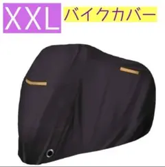 Item thumbnail for item ab0fbd82-fa78-406b-a6fe-5dd516661c8b